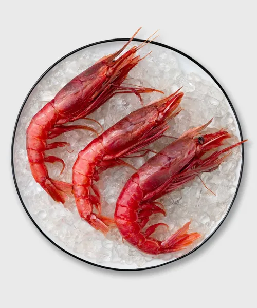 Gambero Rosso