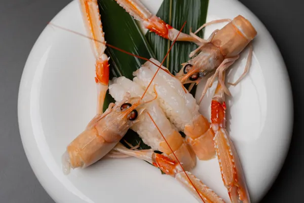 Nigiri Scampo